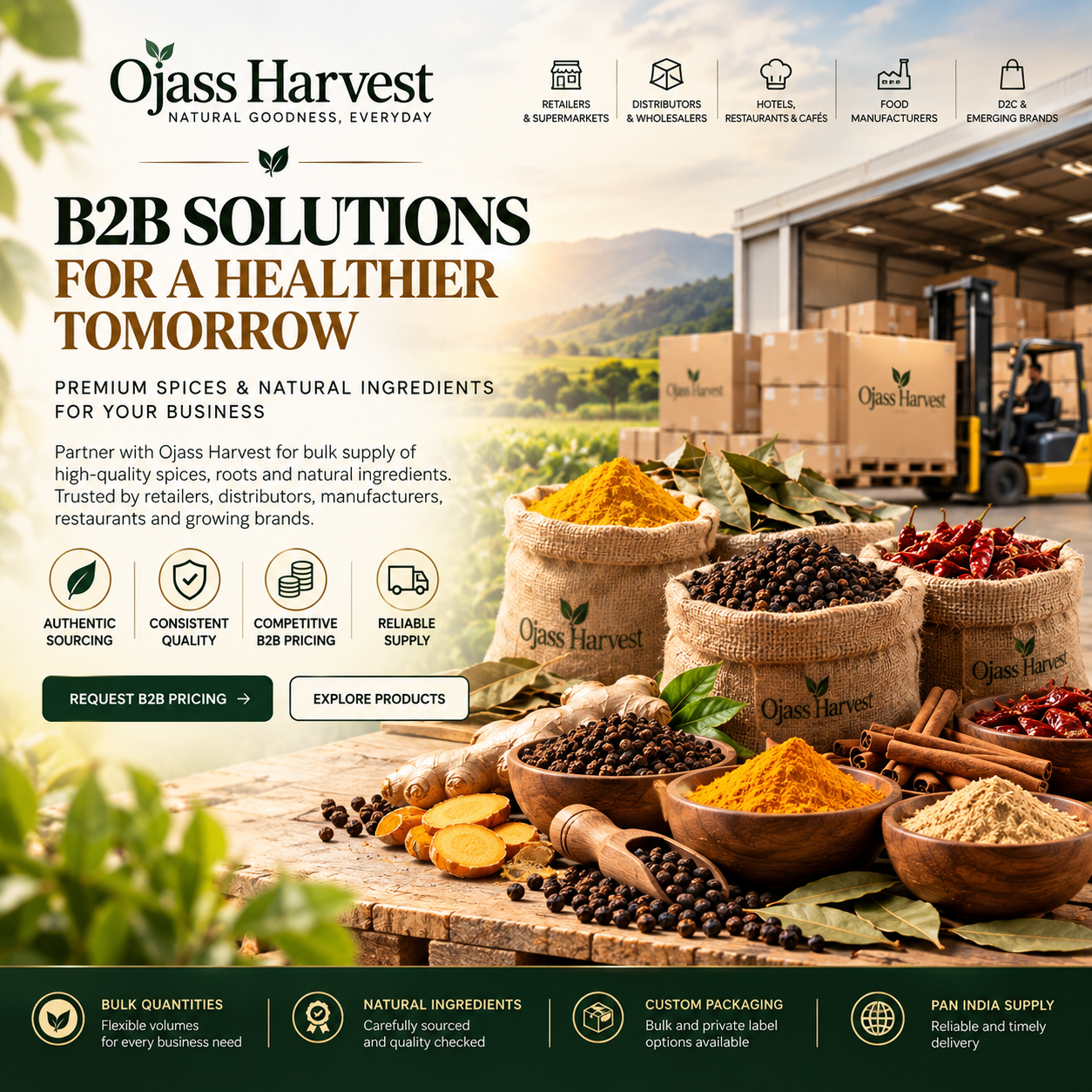ojass harvest b2b spice solutions